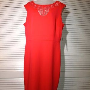 NWT Sangria Dress Hibiscus Laser Cutout 16